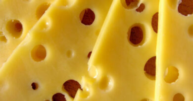 Swiss cheese – A great choice to delicious burger