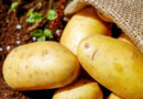 Fun Facts About Potato Warriors That You Probably Never Knew