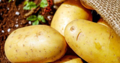 Fun Facts About Potato Warriors That You Probably Never Knew