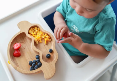 The Importance of Choosing the Right Food for Babies