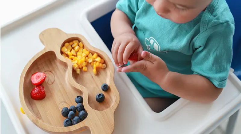 The Importance of Choosing the Right Food for Babies