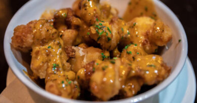 Cheese Curds Dishes for All Ages Creating Kid Friendly to Gourmet Menus