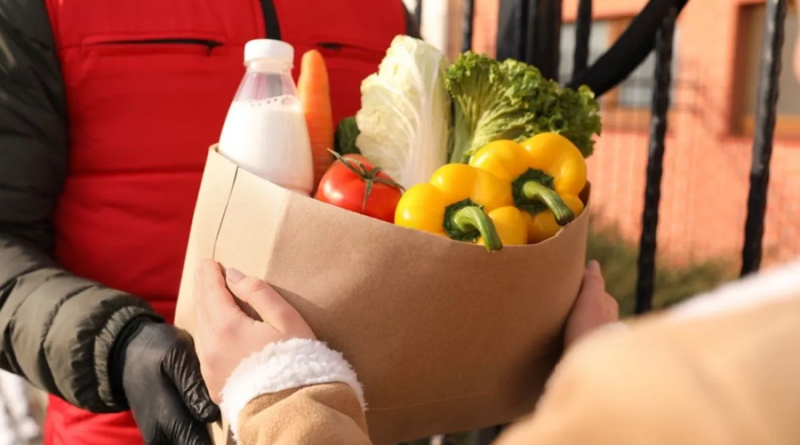 Fresh Grocery Delivery Services Saving Time And Efforts