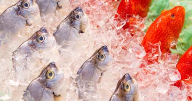 How to Choose Fresh Whole Fish for Your Family Meals