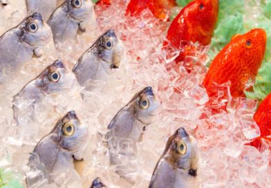 How to Choose Fresh Whole Fish for Your Family Meals