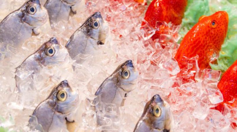 How to Choose Fresh Whole Fish for Your Family Meals